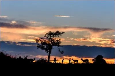 Quelle est la devise nationale du pays ?