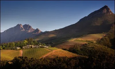 Quelle est la monnaie ?