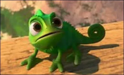 Dans "Raiponce", comment se nomme son caméléon ?
