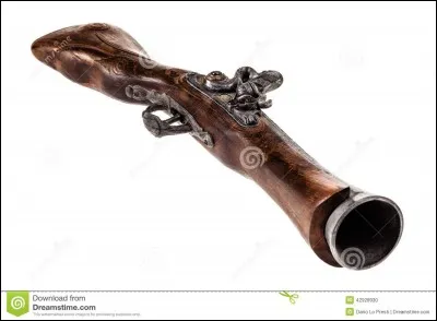 De quelle guerre fait-il partie ?