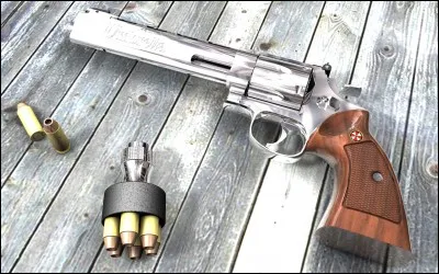 Quelle est cette arme et combien de cartouches contient-elle ? Combien de pouces fait-elle ?