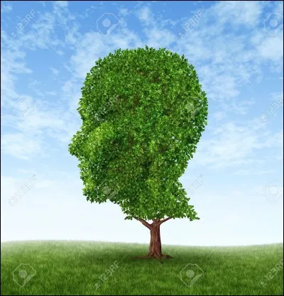 Quel est l'adjectif qui te caractérise le plus ?