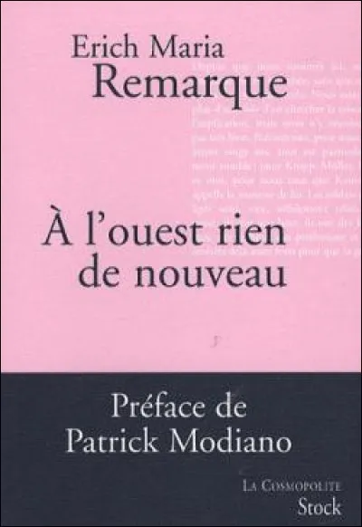 Le roman "À l'Ouest, rien de nouveau" a été adapté au cinéma à plusieurs reprises mais savez-vous où se déroule l'histoire ?