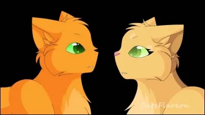 Comment s'appelle la compagne d'Étoile de Feu ?