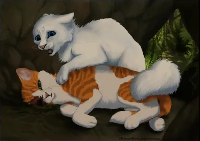 Comment Cur Blanc se fait-elle blesser au visage ?