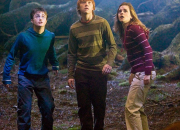 Quiz 'Harry Potter' : familles