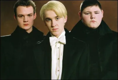 Qui sont Crabbe et Goyle par rapport à Malefoy ?