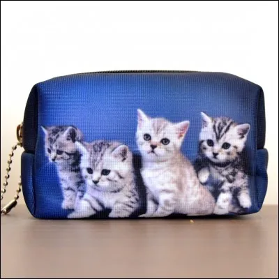 Combien de chatons y a-t-il par portée ?