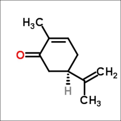 Le mardi 20 juin, nous découvrons le sujet de physique-chimie. Le premier exercice proposait la synthèse de la R-carvone. On retrouvait cette substance dans un fruit bien connu...