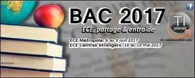 J'ai passé au début du mois de juin mes ECE (évaluations des compétences expérimentales, spécifiques à la S). J'en ai tout d'abord eu une en physique-chimie. Je suis tombée sur une histoire de thermos particulier qui souhaitait faire chauffer du thé ou du café. Nous devions, pour avoir un pH, jouer avec les concentrations des produits et celle de l'ion oxonium. Car vous savez tous que...