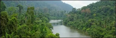 Sur combien de pays s'étend la forêt amazonienne ?
