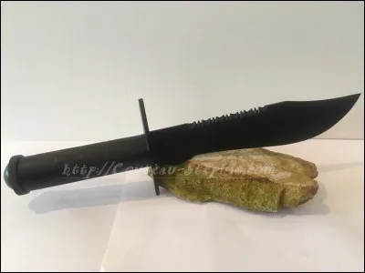 Trouvez la solution, en poussant votre grand cri !