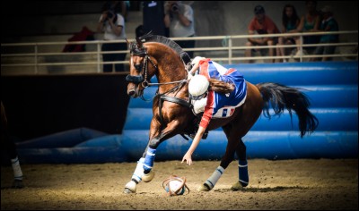 Quel sport pratique ce beau cheval avec son cavalier ?