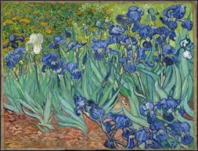 Qui a peint "Iris" ?