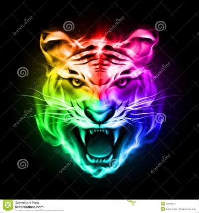 Quel est ton animal préféré ?