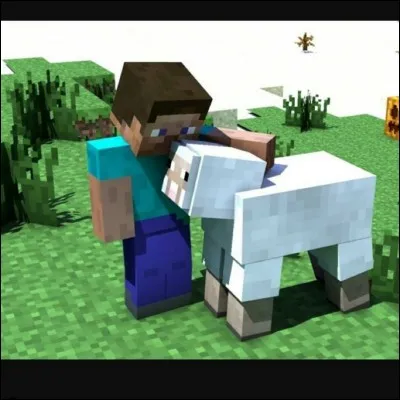 Quel est le nom du skin de base de "Minecraft" ?