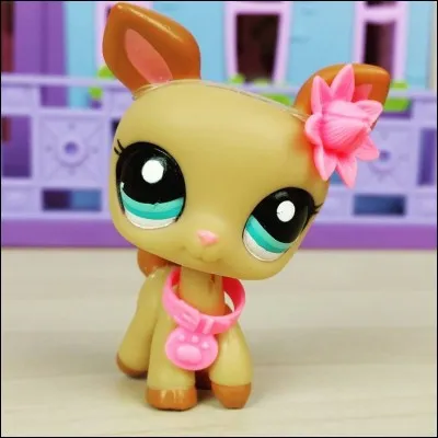 Quelle est cette race de LPS ?