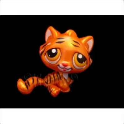 Ce chat est le chat du/de la...