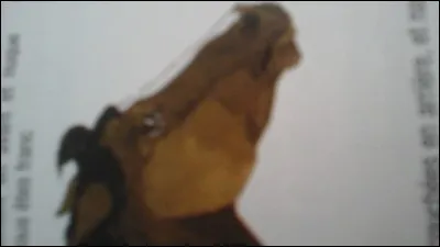 Que veut dire ce cheval ?