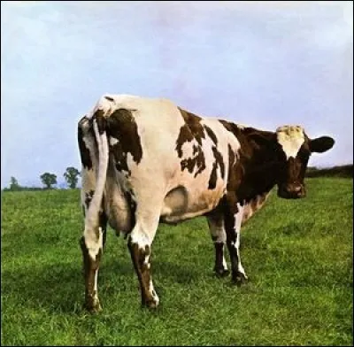 L'album Atom Heart Mother paraît en 1971. La pochette nous montre une vache. Quel est son nom ?