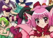 Test Quel personnage de 'Tokyo Mew Mew' es-tu ?