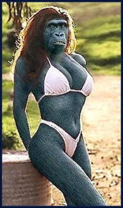 Elle est dans hindouisme la mère du dieu singe Hanumân. Qui est elle ?