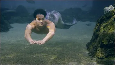 Qui est ce garçon ?