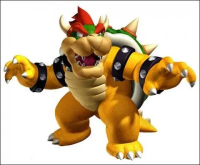 Bowser est....