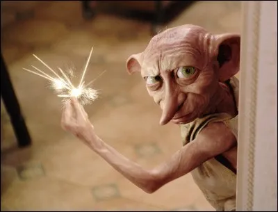 Dans "Harry Potter 2", Dobby sert une famille.
Laquelle ?