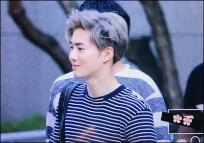 Quel est son élément/pouvoir dans EXO-K ?