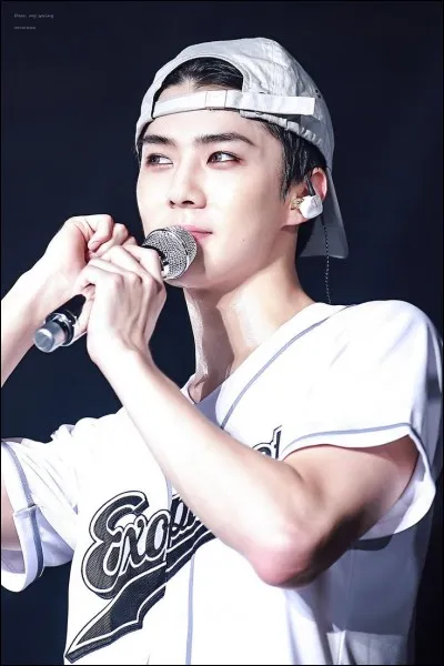 Sehun est devenu trainee à partir de quelle année ?