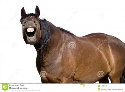 Combien de fois dans l'année, il est recommandé de faire appel à un dentiste ?