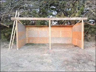 Combien de m2 minimum il faut avoir pour abriter un cheval ?