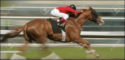 Un cheval au galop peut atteindre ...