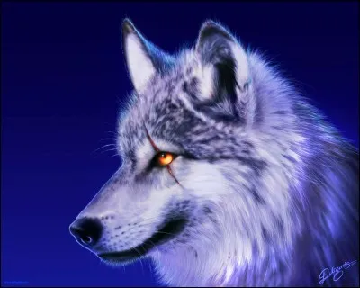 Tu pr&eacute;f&egrave;res...