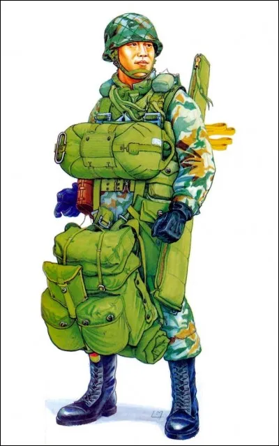 Quelle est la cause de la seconde Guerre sino-japonaise ?