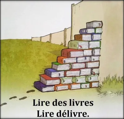 En parlant de livres, tu aimes...