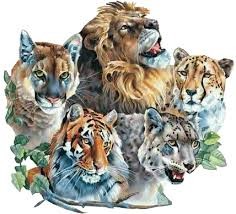 Quiz Lions