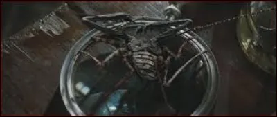 Quel est le sortil&egrave;ge de Torture ?