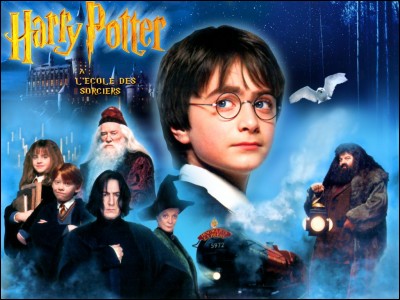 "Harry Potter à l'école des sorciers".
Commençons par le commencement ! Harry découvre qu'il est un sorcier grâce à Hagrid. Que fait celui-ci à Dudley ?