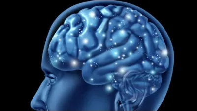 Vrai ou faux ?
Ce n'est pas dans le cerveau que l'on retrouvera des traces d'un AVC.