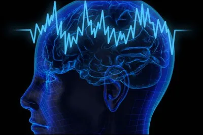 Vrai ou faux ?
Le cervelet est dans le cortex cérébral.