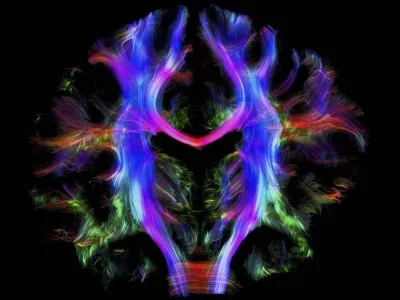 Vrai ou faux ?
La psychiatrie est la branche de la médecine qui étudie les maladies mentales.