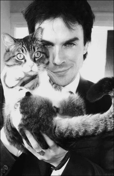 Qui Ian Somerhalder incarne-t-il dans Vampire Diaries ?