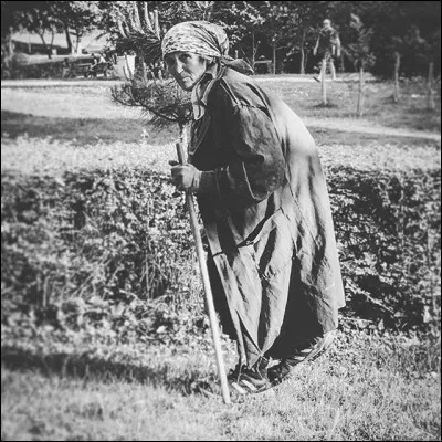 On ploie sous leur poids. De qui ? De quoi ? Découvrez-le en insérant une lettre dans le mot "as".