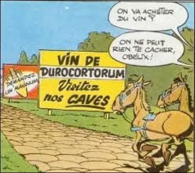 Dans quel album peut-on voir cette image ?