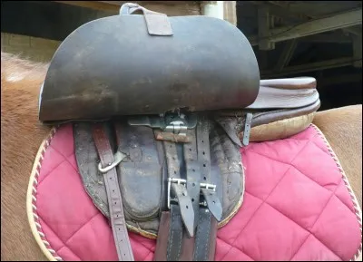 Pour sangler son cheval de quel côté se met-on ?