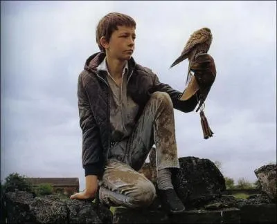 7. Ce film raconte comment le fils d'une famille de mineurs du Yorkshire va voir changer son lugubre quotidien en apprivoisant un faucon...