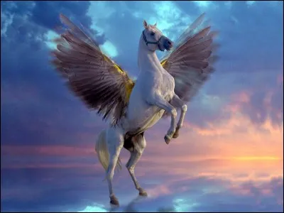 Quelle est la constellation du Cheval ailé ?