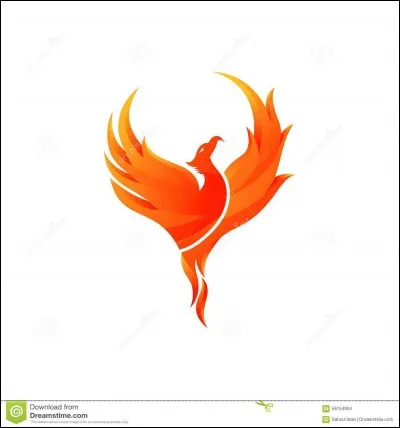 Quelle est la constellation du Phénix ?